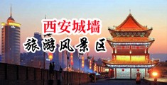 大粗鸡巴操小肥屄视频中国陕西-西安城墙旅游风景区