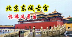 美女操批视频在线观看中国北京-东城古宫旅游风景区